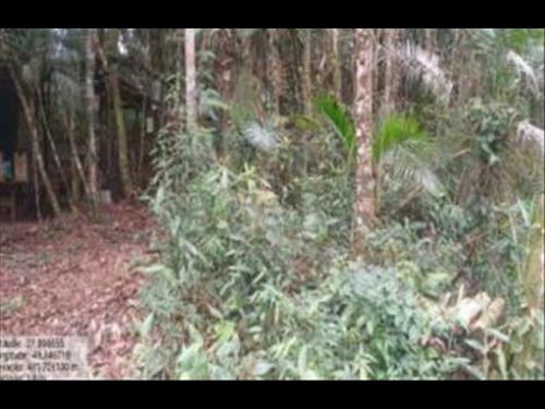 IMÓVEL RURAL COM ÁREA TOTAL DE 16,135 ha- Em APIÚNA/SC