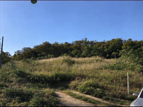 Terreno, 60,000m², Maria Custódia, Santa Luzia/MG (28988) | Grupo Lance