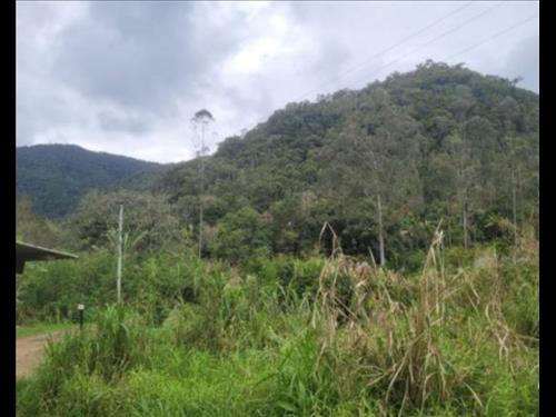IMÓVEL RURAL INDAIAL/Encano Alto/134.997,00 m²